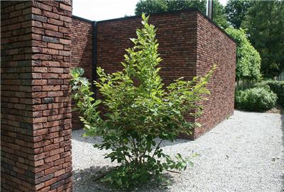 Tuinarchitect Ilse De Schuyter Essen