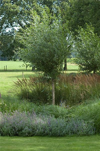 Tuinarchitect Ilse De Schuyter Essen
