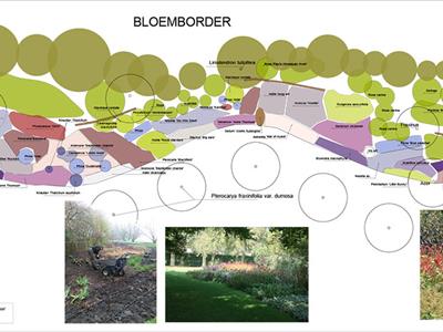 Tuinontwerp